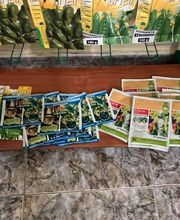 Floristería Ave de Paraíso imagen 6