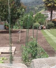 DAVIDEgiardini Bild 3