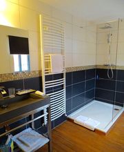 Les Myosotis image 9