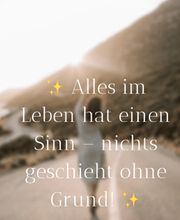 Nadine Doll - Wert & Sinn Coaching Bild 4