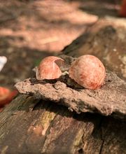 Wildnisschule WildnisWelt Bild 11