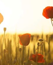 Physiomed Aktiv Georg Killermann Bild 1