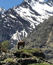 Ovalie Immobilier image 11