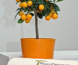 PhysioDemmers Bild 1