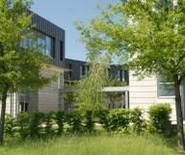 Seba 15 image 3