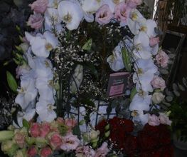 Florilege et harmonie image 8