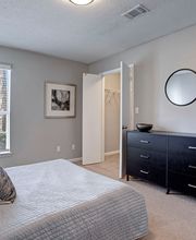 Elements of Madison Apartments image 20
