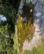 Gartencoach Dario Peyer Bild 4