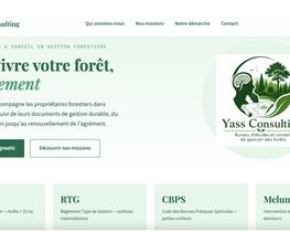Yass Consulting image 1