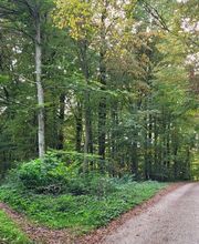 FriedWald Schurwald Bild 7