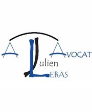 Lebas Julien image 10