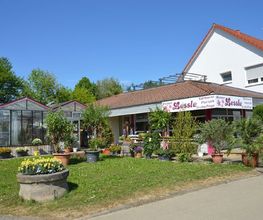 Blumen Lessle Bild 2