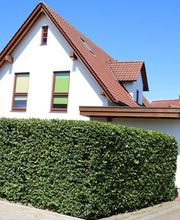 Zimmerei Kaller GmbH Bild 3