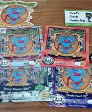 Root's Seeds Industry CBD Shop image 7