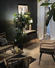 Ferrand-Baudel Sophie image 1