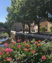 Kokon Immobilier image 16