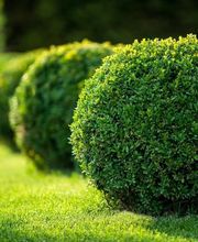 Novadura Facility Services GmbH Bild 4