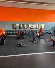 David Gym 47 Bild 2