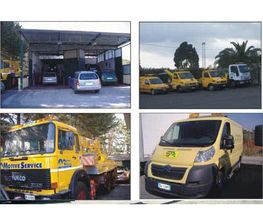 Gallery Cliente