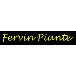Fervin logo