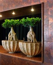 Widler Gartenbau + Floristik AG Bild 14