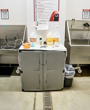 Pet Wash Detail Shot