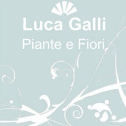 Fiorista Galli Luca logo