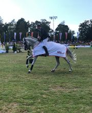 SDV Sicherheit Valletta Bild 8