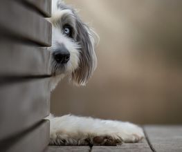 Anja Sehrt Fotografie Bild 8