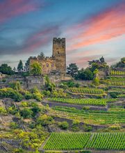 Fichtner Fotodesign Bild 12