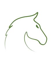 Carowesa Westernreiten Bild 5
