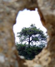 Aude GIROUX MIRALLES Thérapeute Holistique image 2