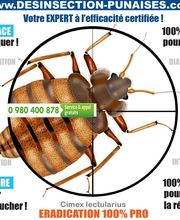 Technocid image 8