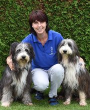 Tierarztpraxis im Hölzli Bild 6