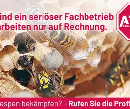ATOX Schädlingsbekämpfungsfachbetrieb Bild 9