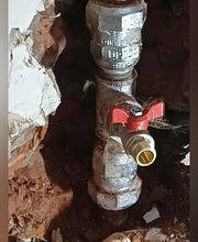 EI Geloen David image 9