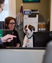 Linworth Family Dental image 10