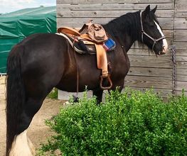 Black Sky Ranch Bild 3