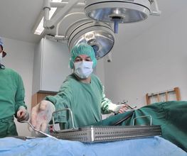 Tierarztpraxis Rohner AG Bild 9