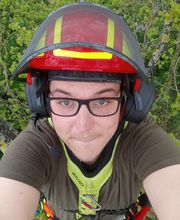 Baumdienst Daniel Laker Bild 3