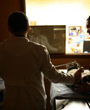 South Kendall Animal Hospital image 6