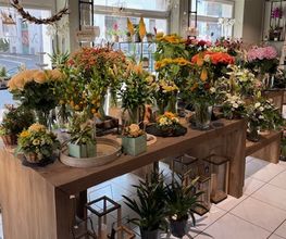 Martin's Blumenwelt Bild 5