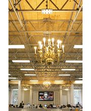 Colgate Scaffolding image 2