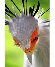 Sabin Marketing and Promotions image 17