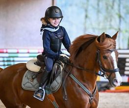 Reitsportzentrum St. Josefen AG Bild 3