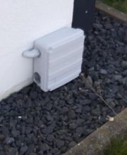 Christian Beck + Kai Schäfer Gbr - Schädlingsbekämpfung Bild 10