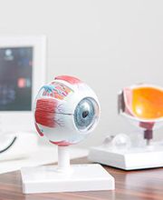 Argus Augen AG Bild 7