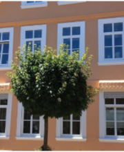 Fassadensanierungen