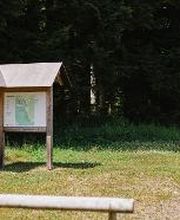 FriedWald Schenkenzell Bild 2