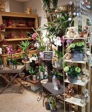 AU GRE DES FLEURS image 9